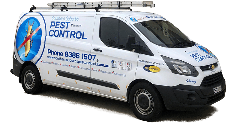 Pest Control Adelaide - banner